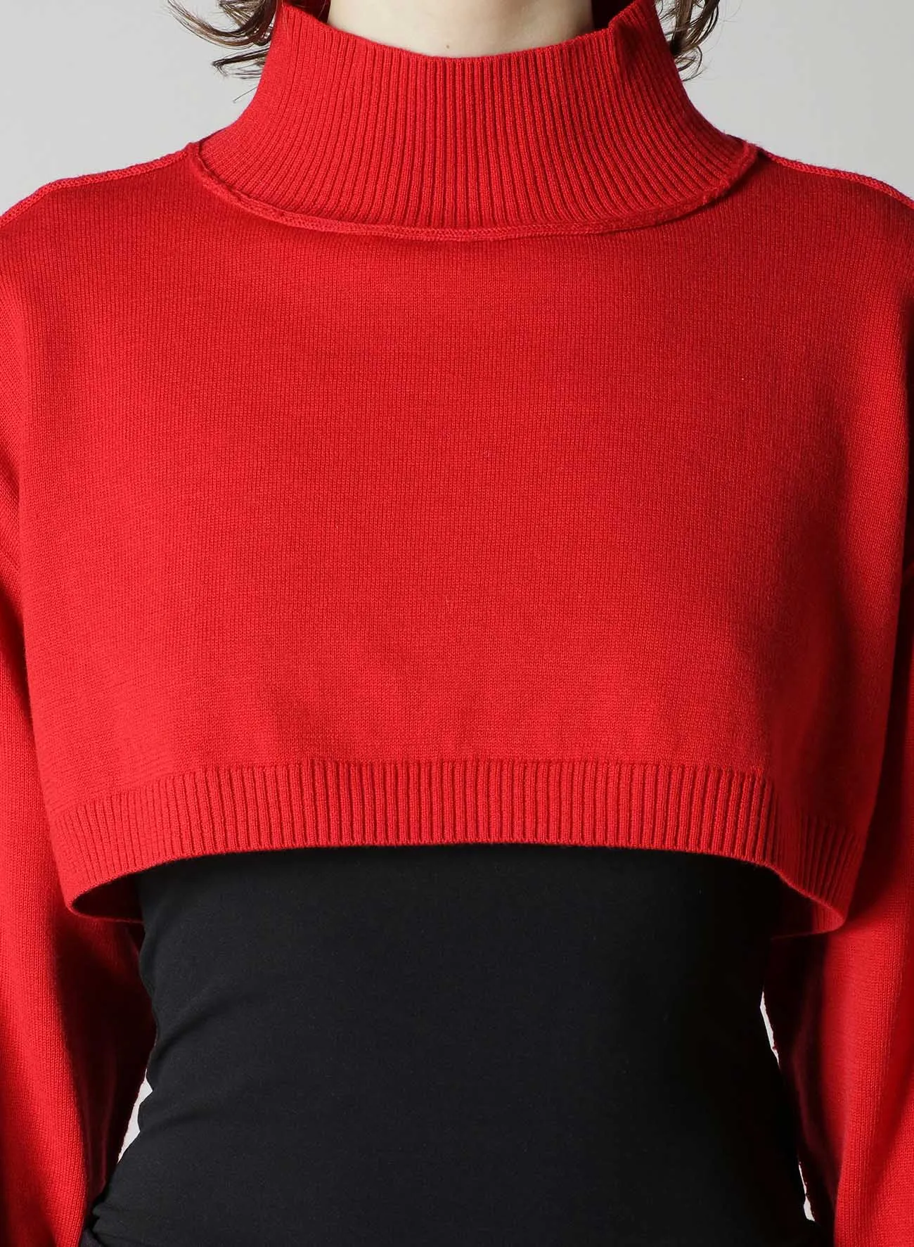 CROPPED RIB KNIT TURTLENECK