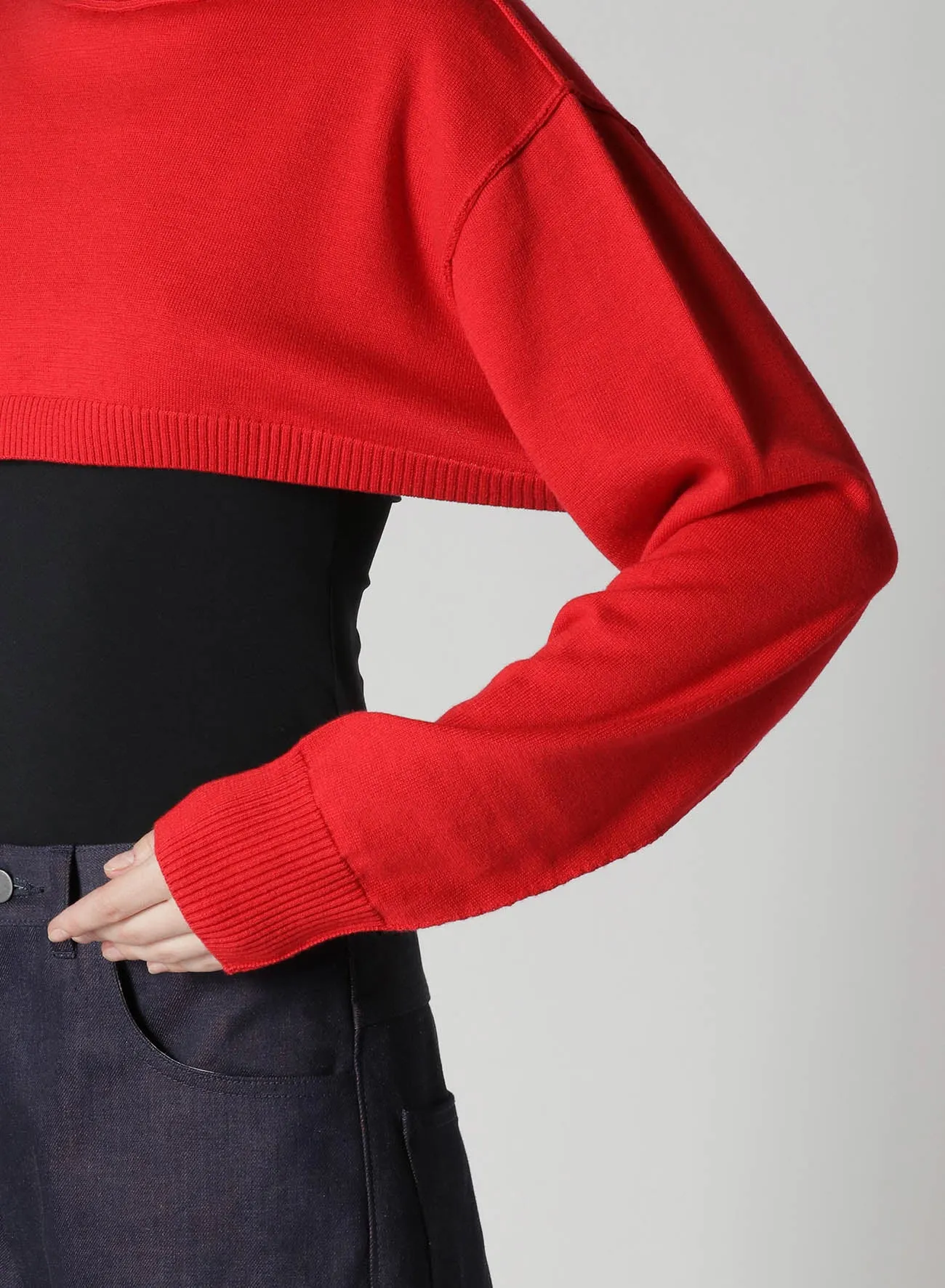 CROPPED RIB KNIT TURTLENECK