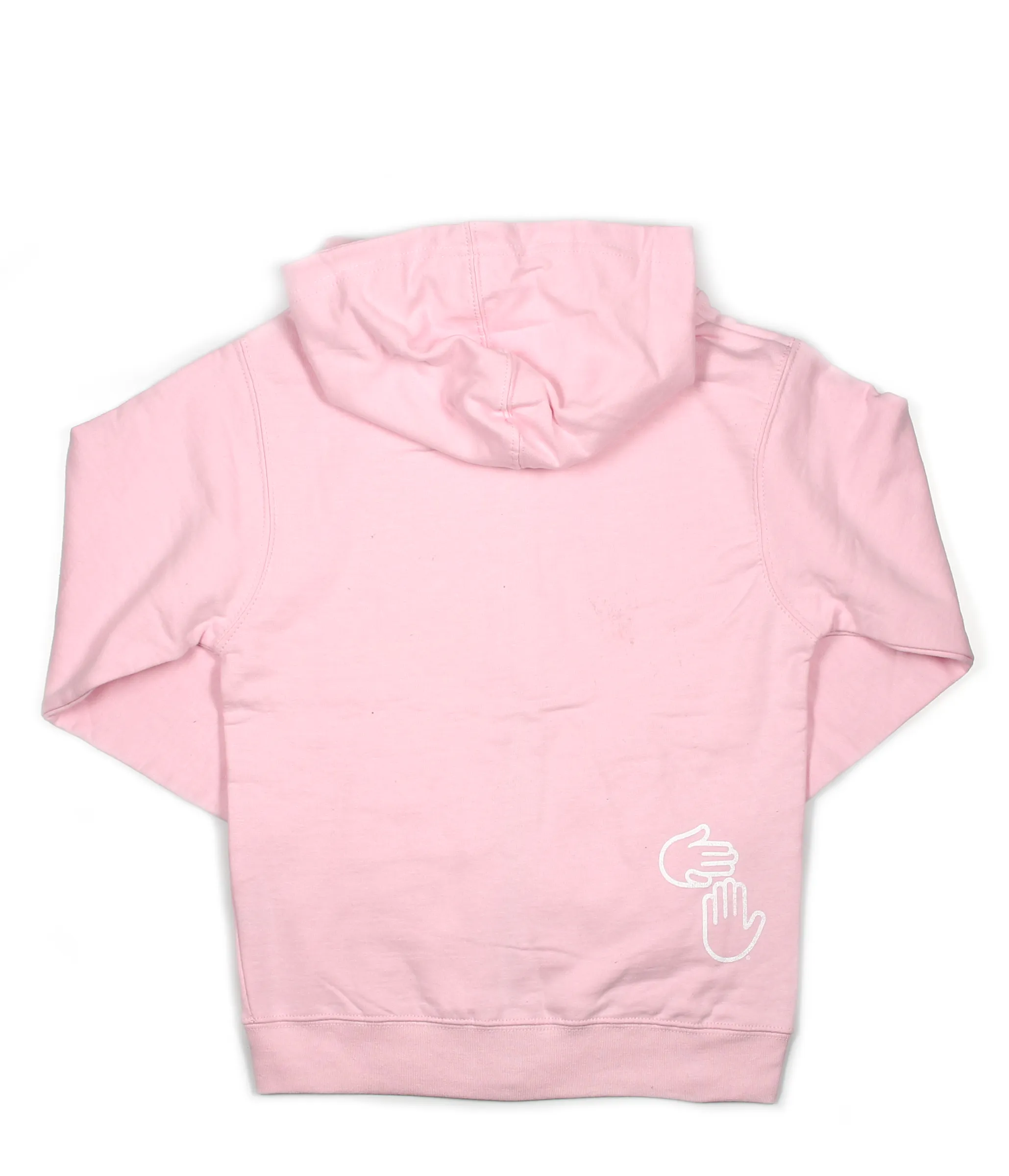 Michigan Hands Youth Zip Hoodie (Pink)